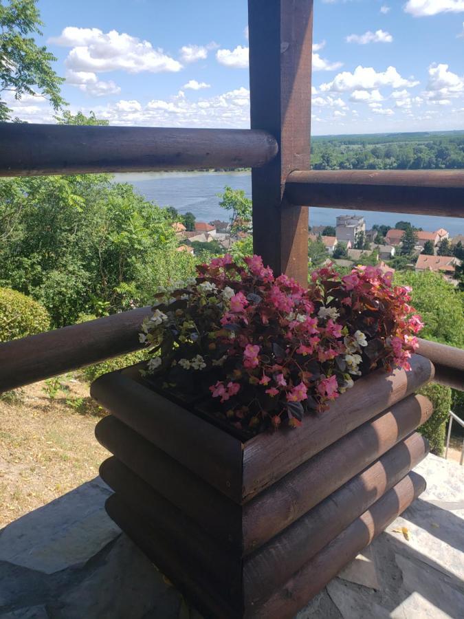 Vila Slankamenka Stari Slankamen エクステリア 写真