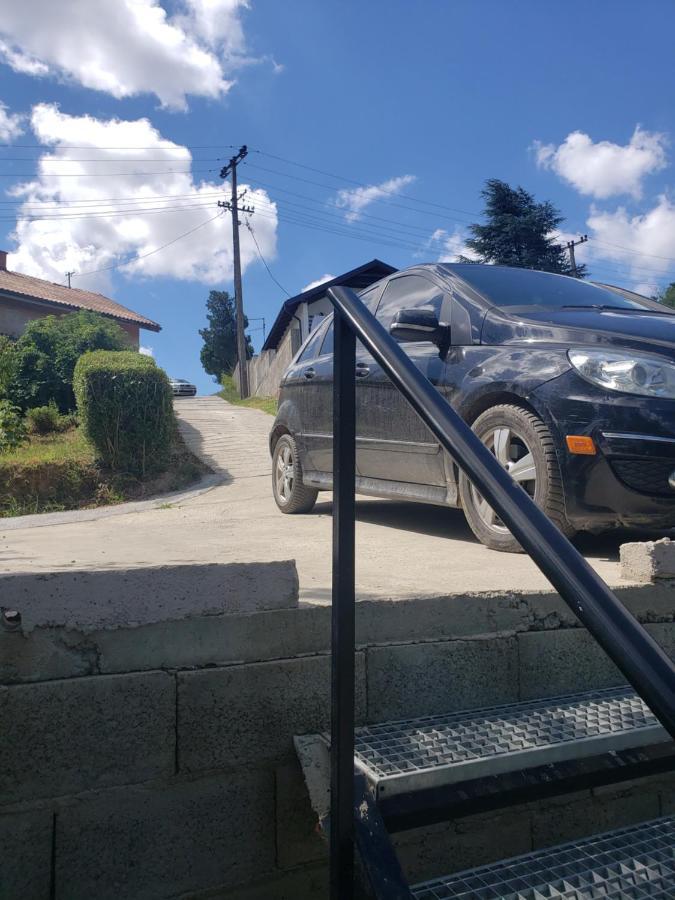 Vila Slankamenka Stari Slankamen エクステリア 写真