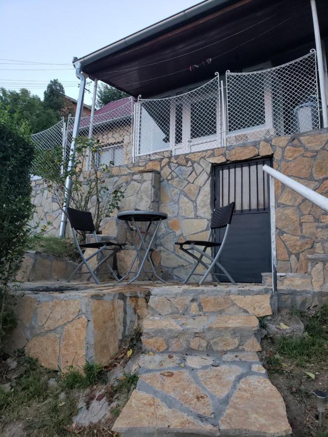 Vila Slankamenka Stari Slankamen エクステリア 写真